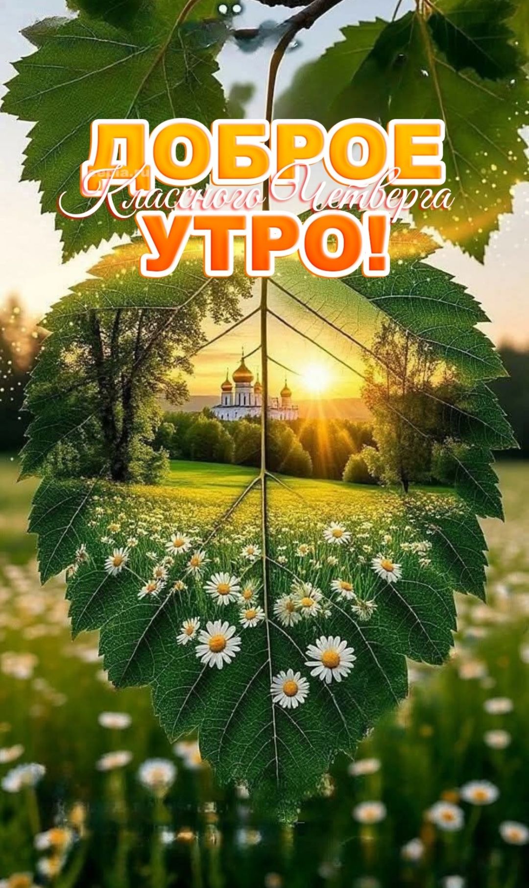 ДОБРОЕ УТРО! Красивого Сентября