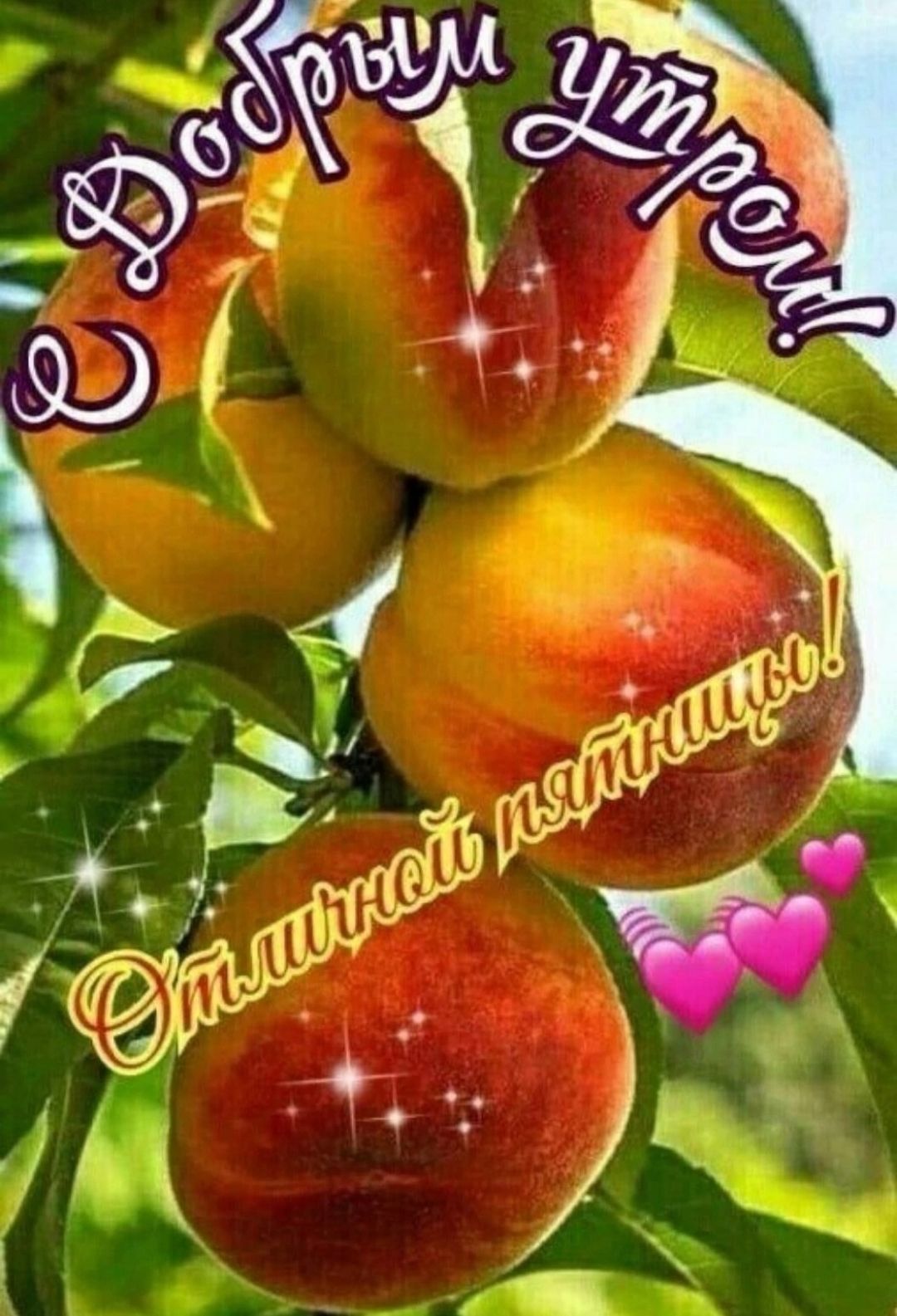 С Добрым утром! Отличной пятницы!