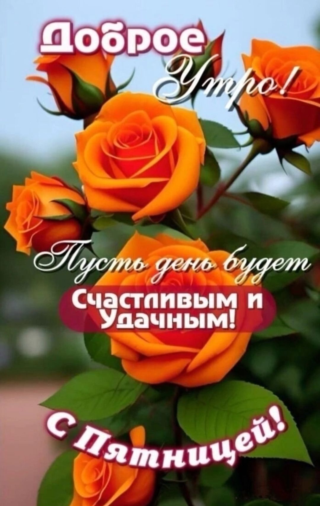 Доброе Утро!
Пусть день будет
Счастливым и Удачным!
С Пятницей!