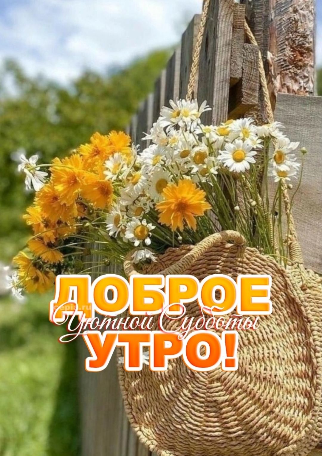 ДОБРОЕ УТРО!