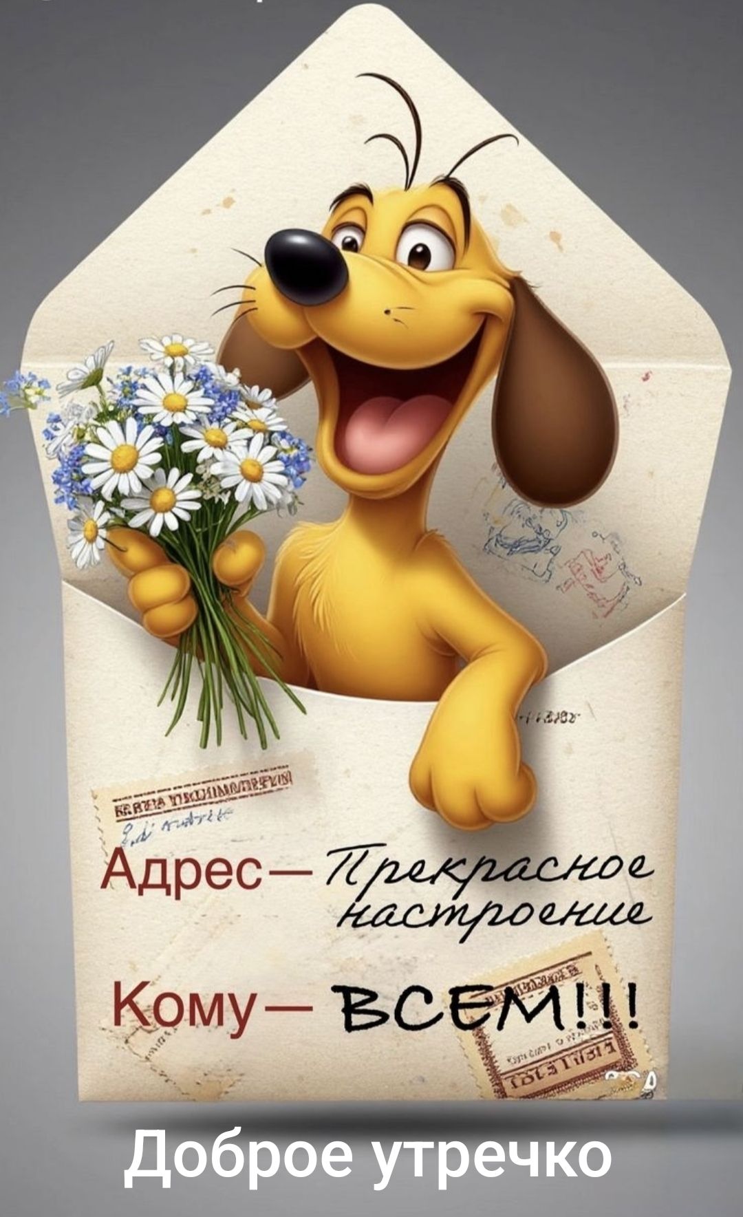 Доброе утречко
Адрес – Прекрасное настроение
Кому – ВСЕМ!!!