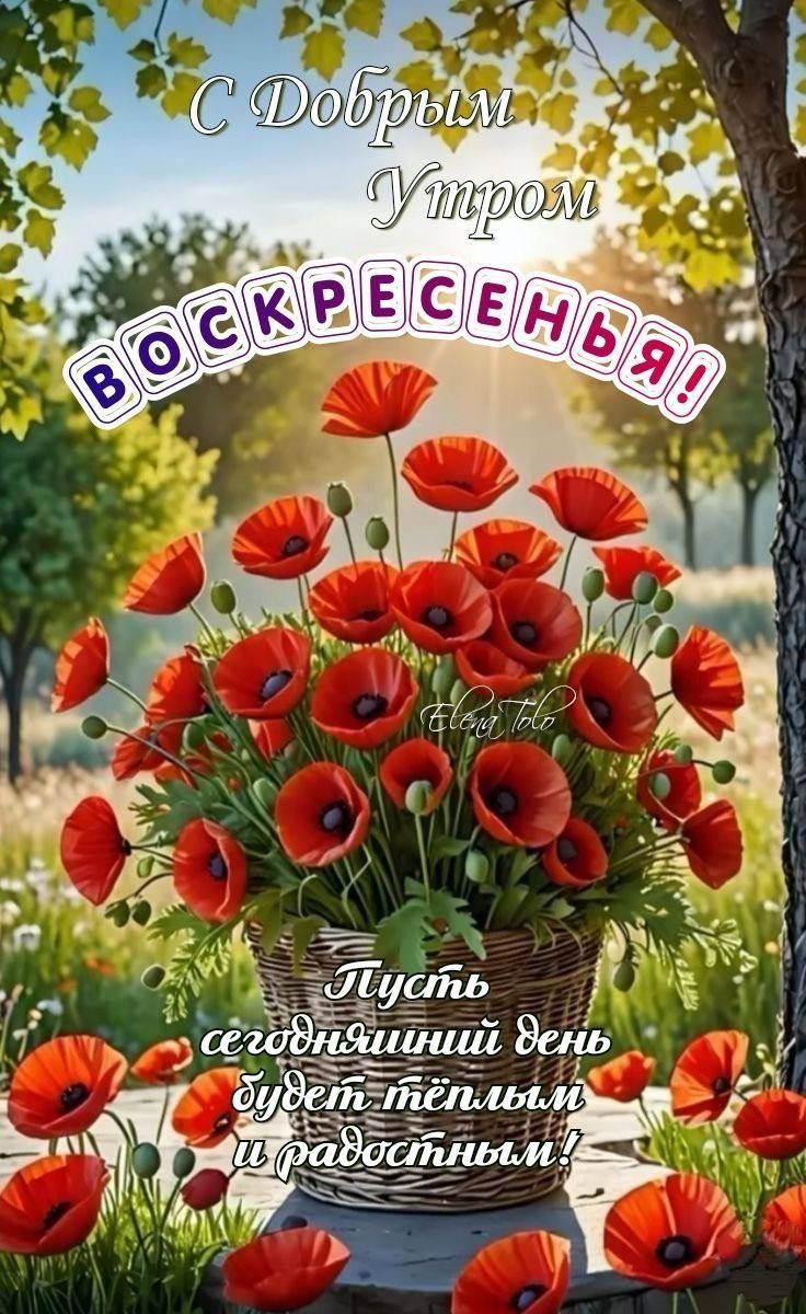 С Добрым Утром Воскресенья! Пусть сегодняшний день будет тёплым и радостным!