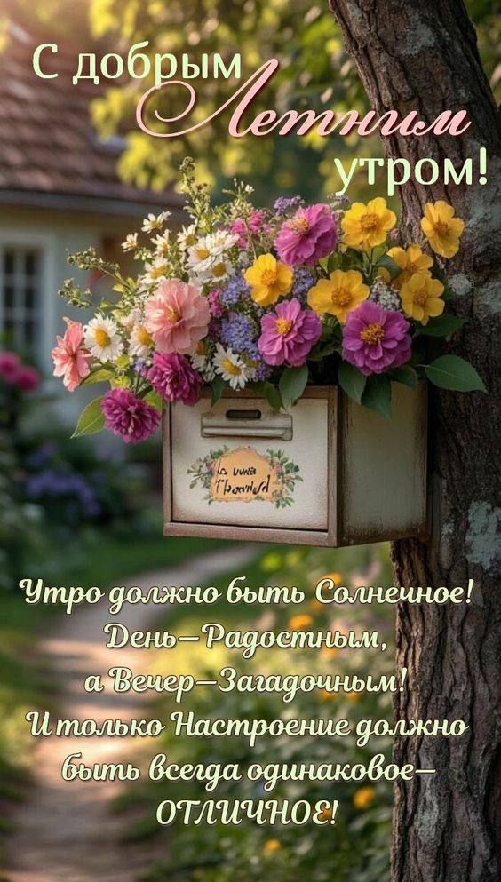 С добрым Летним утром! Утро должно быть Солнечное! День—Радостным, а Вечер—Загадочным! И только Настроение должно быть всегда одинаковое—ОТЛИЧНОЕ!
