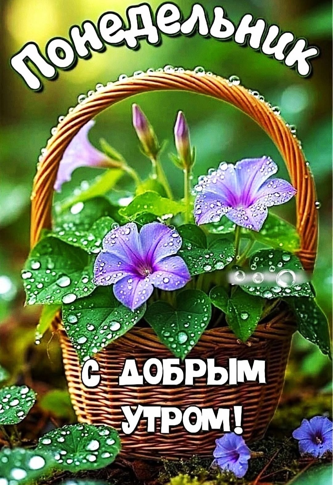 Понедельник с добрым утром!