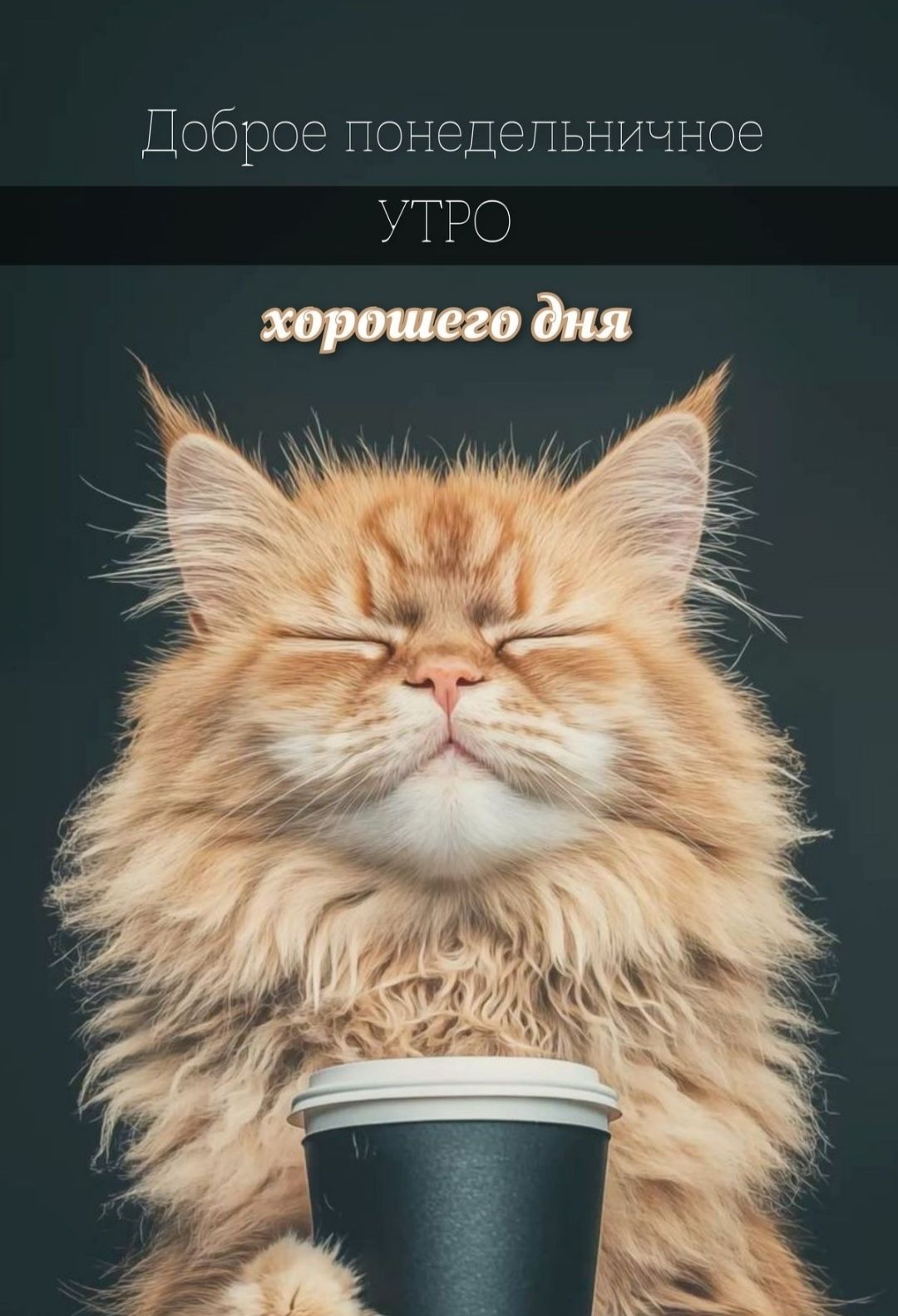 Доброе понедельничное УТРО хорошего дня