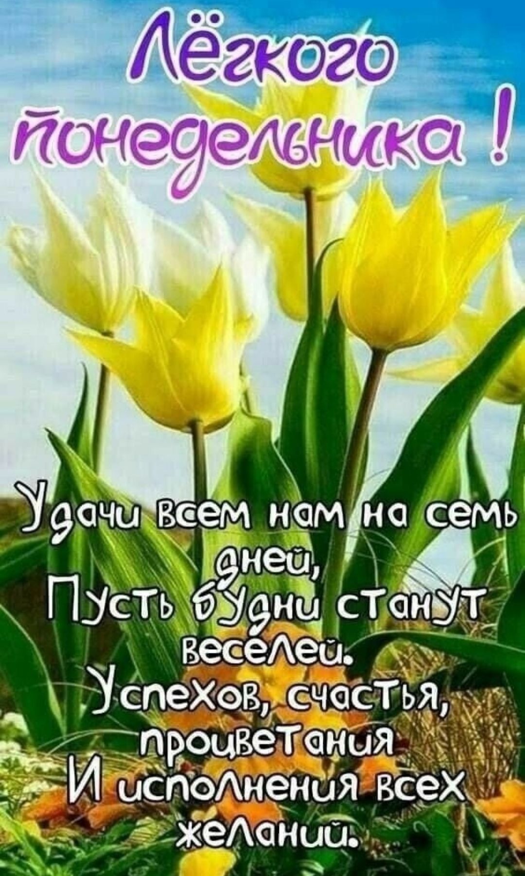 Лёгкого понедельника !
Удачи всем нам на семь дней,
Пусть будни станут веселее.
Успехов, счастья, процветания.
И исполнения всех желаний.