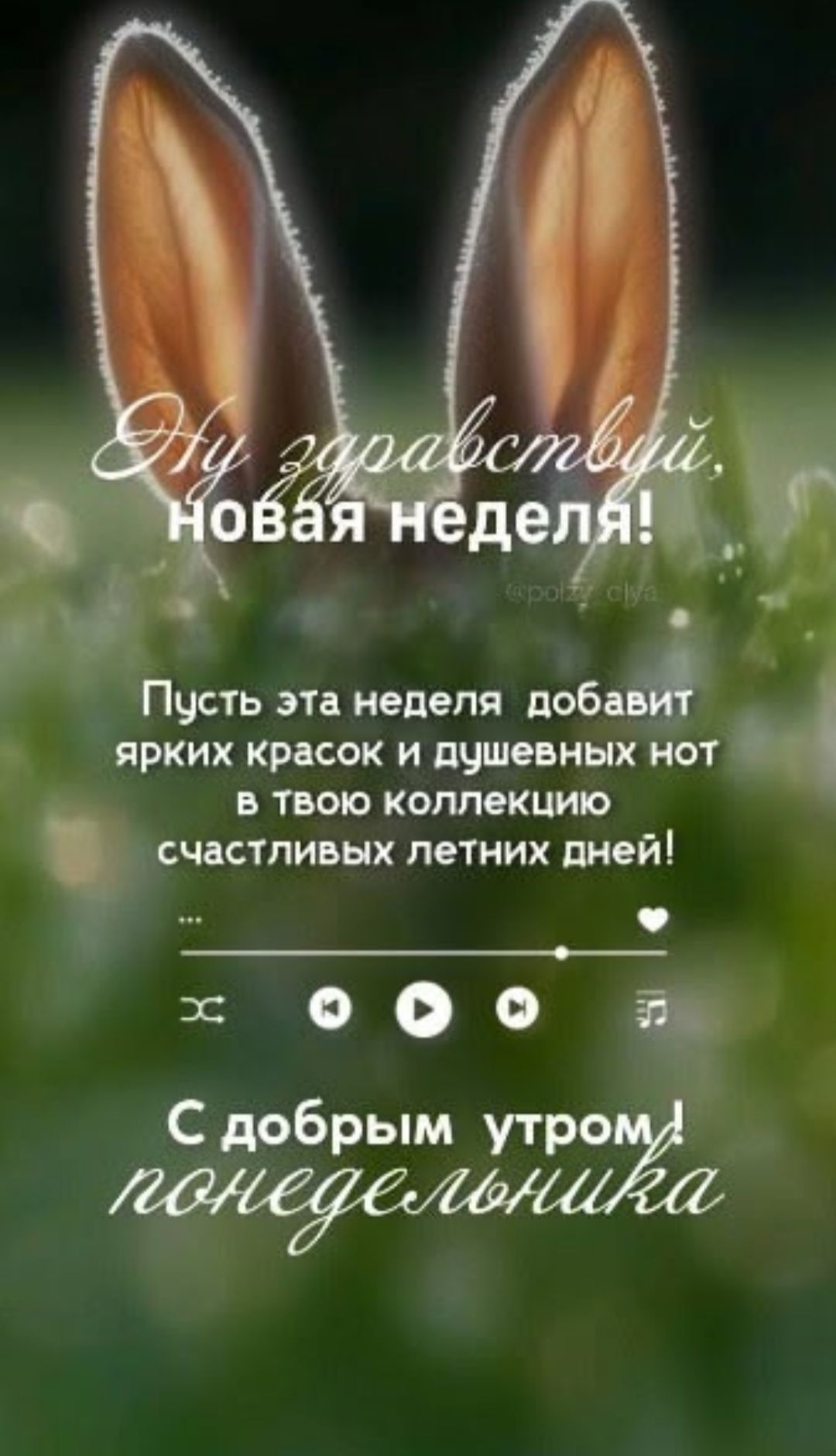 Ну здравствуй, новая неделя! Пусть эта неделя добавит ярких красок и душевных нот в твою коллекцию счастливых летних дней! С добрым утром! понедельника