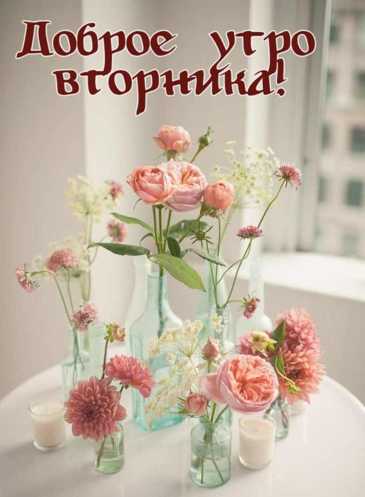 Доброе утро вторника!