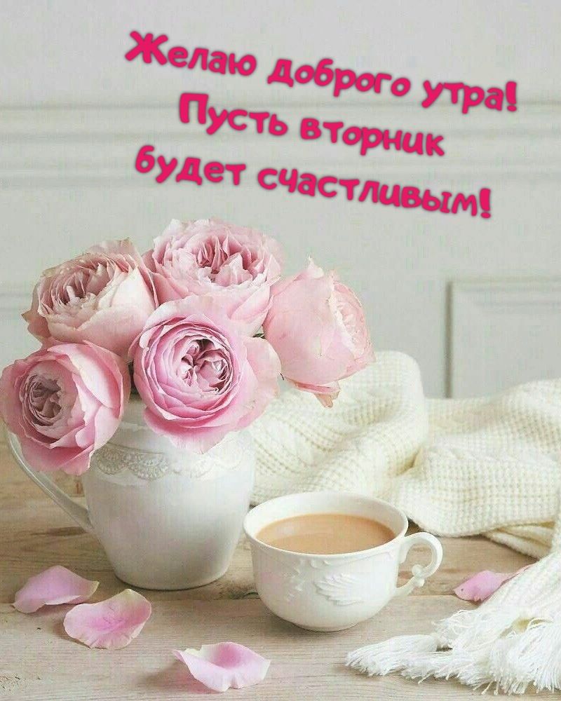 Желаю доброго утра! Пусть вторник будет счастливым!