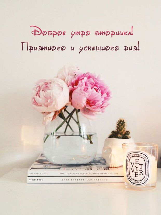 Доброе утро вторника! Приятного и успешного дня!