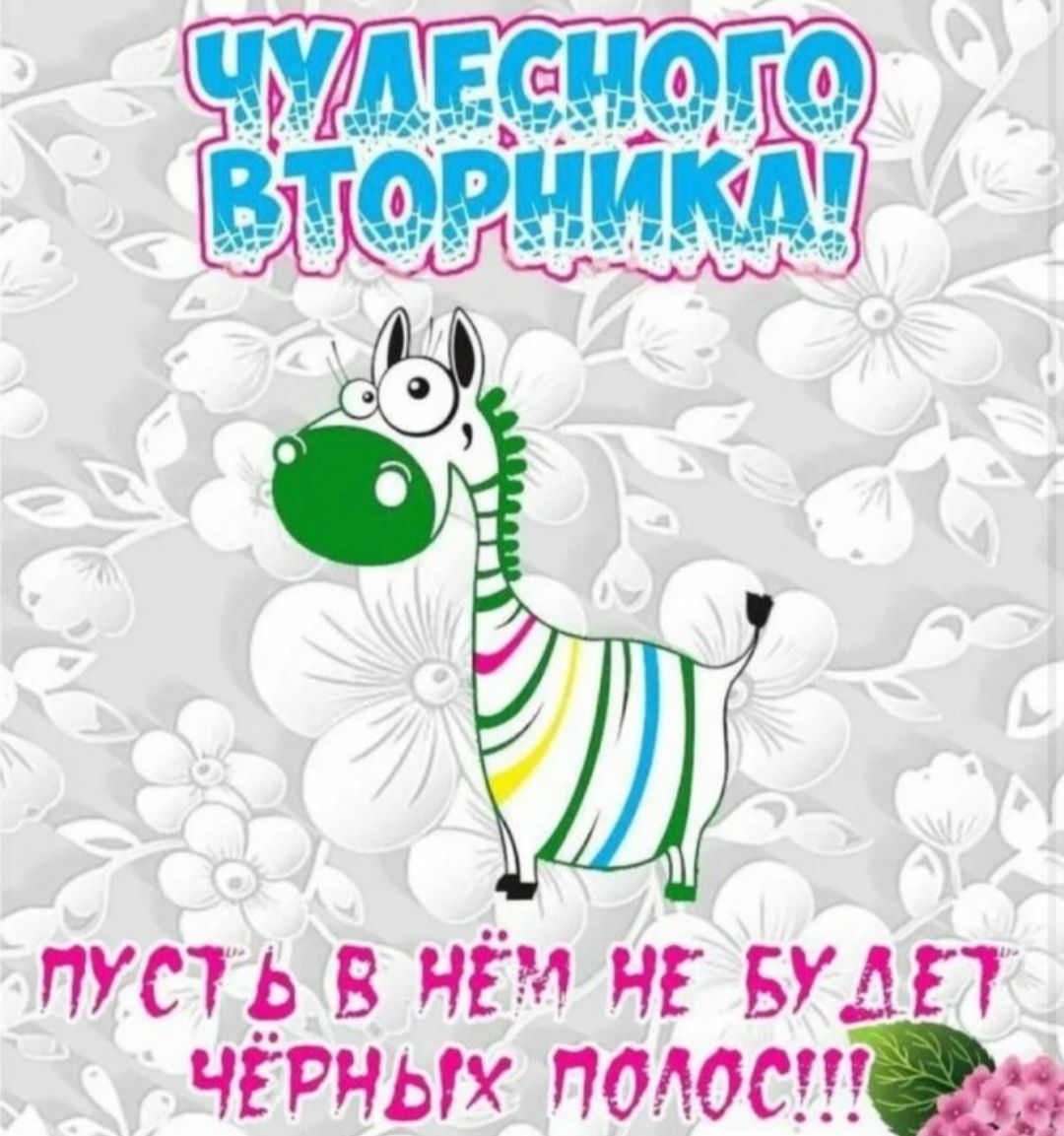 ЧУДЕСНОГО ВТОРНИКА! ПУСТЬ В НЁМ НЕ БУДЕТ ЧЁРНЫХ ПОЛОС!!!