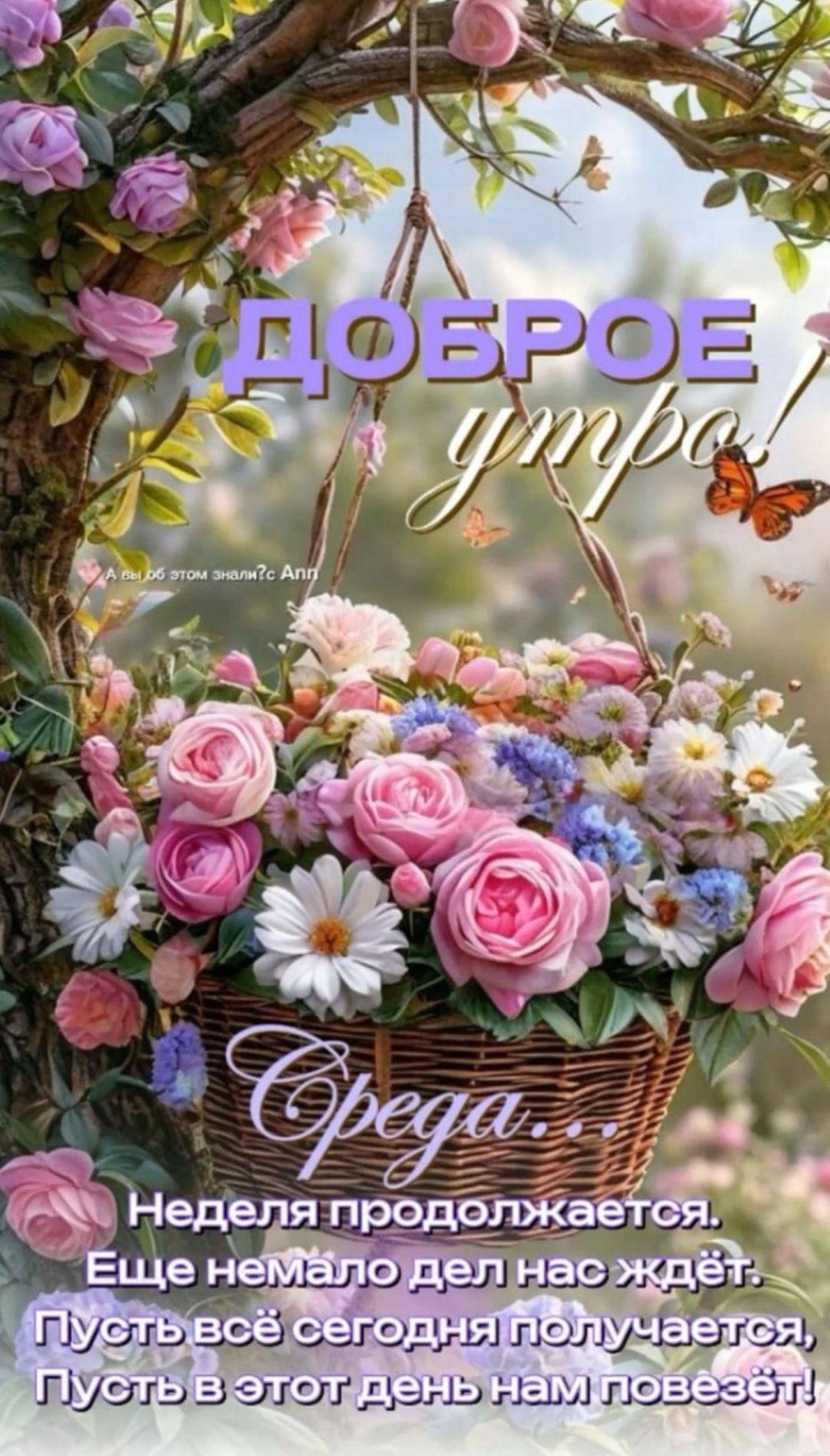 Доброе утро!
Среда...
Неделя продолжается.
Еще немало дел нас ждет.
Пусть всё сегодня получается,
Пусть в этот день нам повезёт!