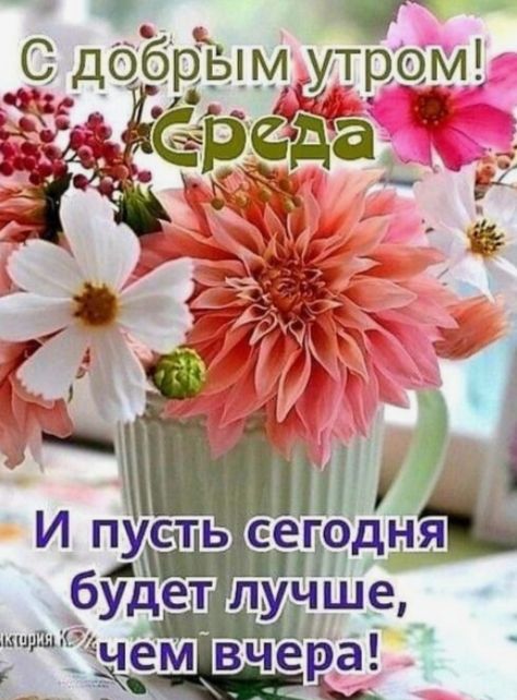 С добрым утром! Среда И пусть сегодня будет лучше, чем вчера!
