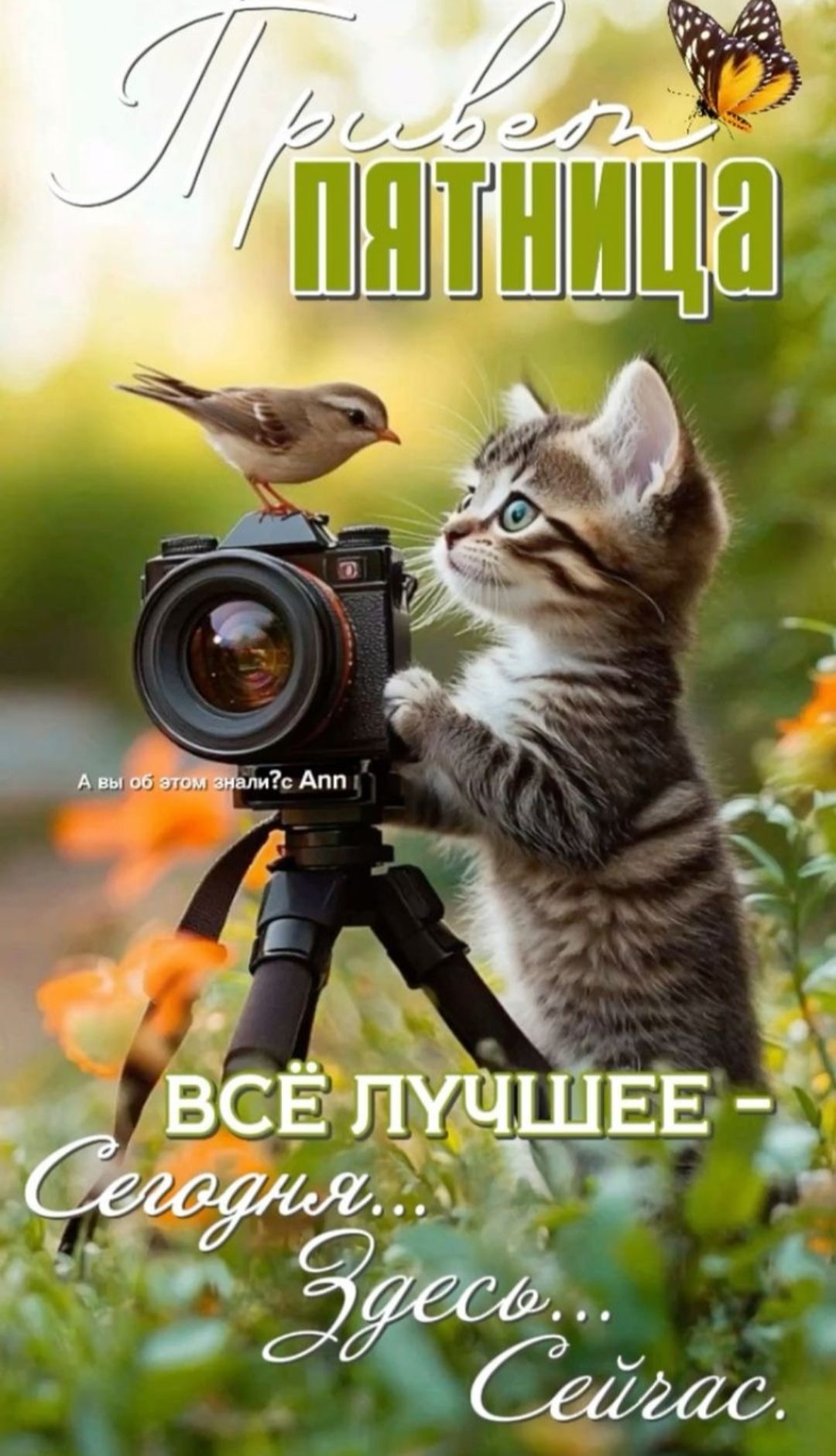 Привет пятница
ВСЁ ЛУЧШЕЕ - Сегодня... Здесь... Сейчас.