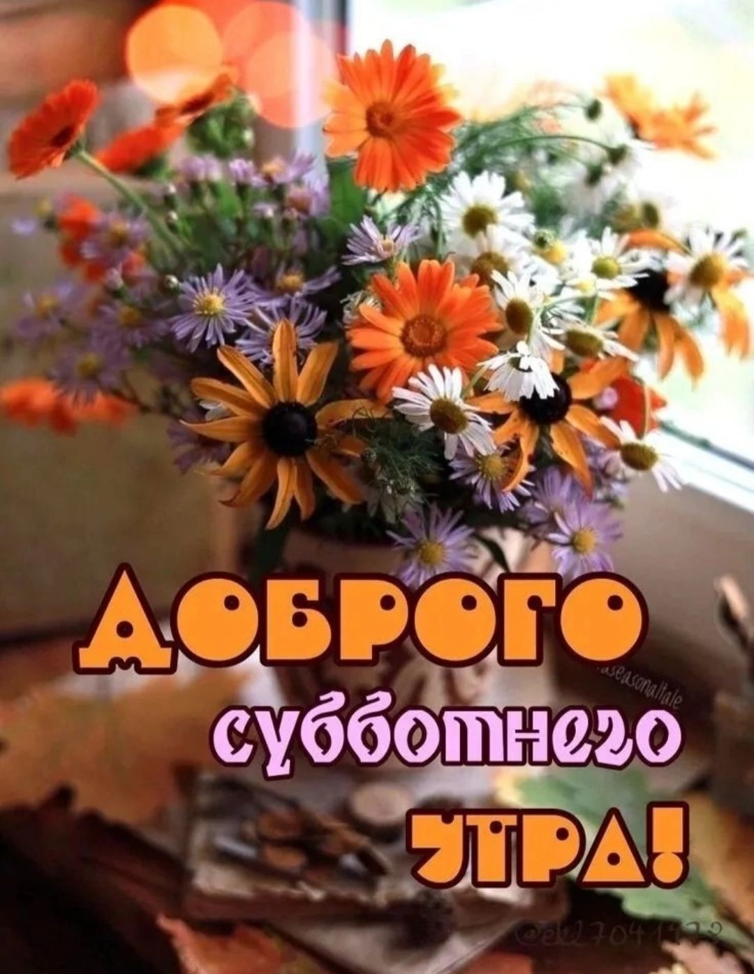 Доброго субботнего утра!