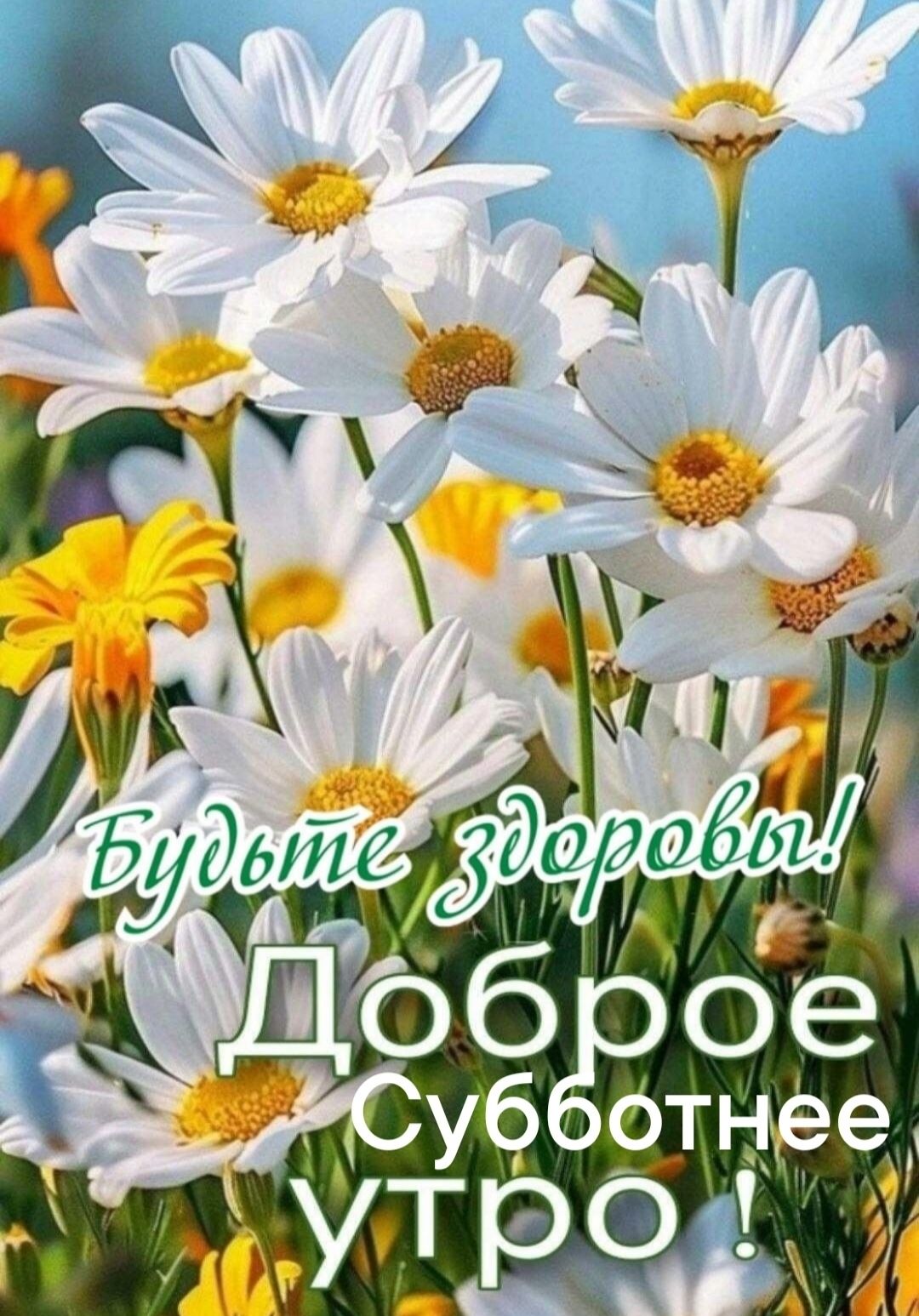 Будьте здоровы! Доброе Субботнее УТРО!
