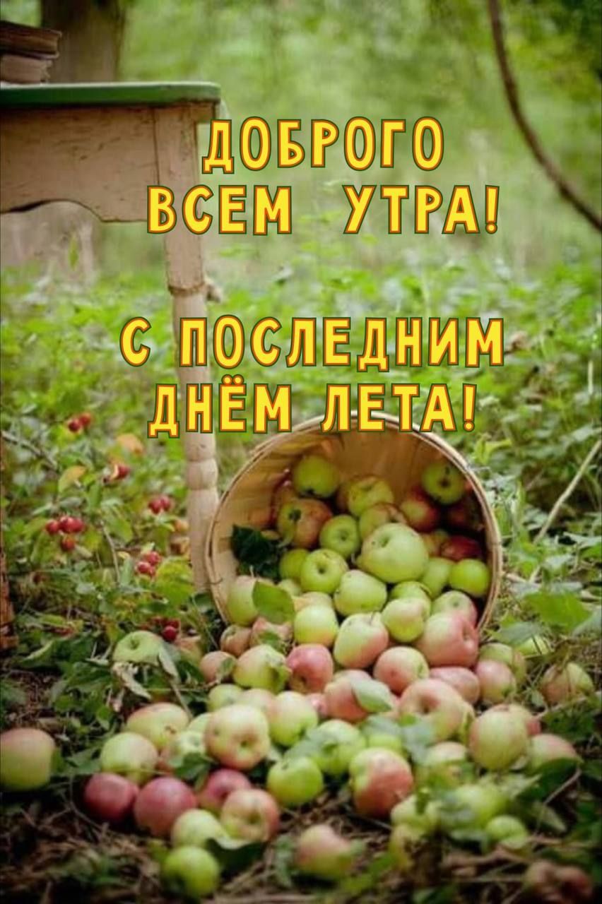 ДОБРОГО ВСЕМ УТРА! С ПОСЛЕДНИМ ДНЁМ ЛЕТА!