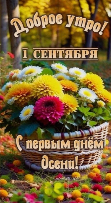 Доброе утро! 1 СЕНТЯБРЯ С первым днём осени!