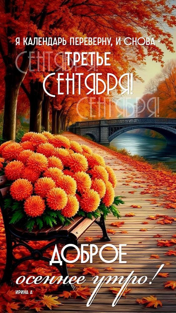 Я календарь переверну, и снова 
ТРЕТЬЕ СЕНТЯБРЯ!
ДОБРОЕ осеннее утро!