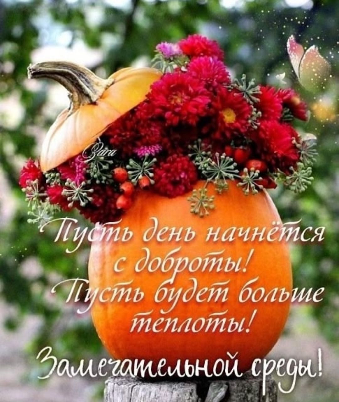 Пусть день начнётся с доброты! Пусть будет больше теплотцы! Замечательной среды!