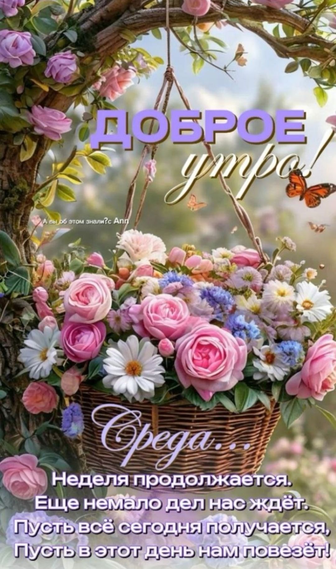 ДОБРОЕ утро!
Среда...
Неделя продолжается.
Еще немало дел нас ждет.
Пусть всё сегодня получается,
Пусть в этот день нам повезёт!