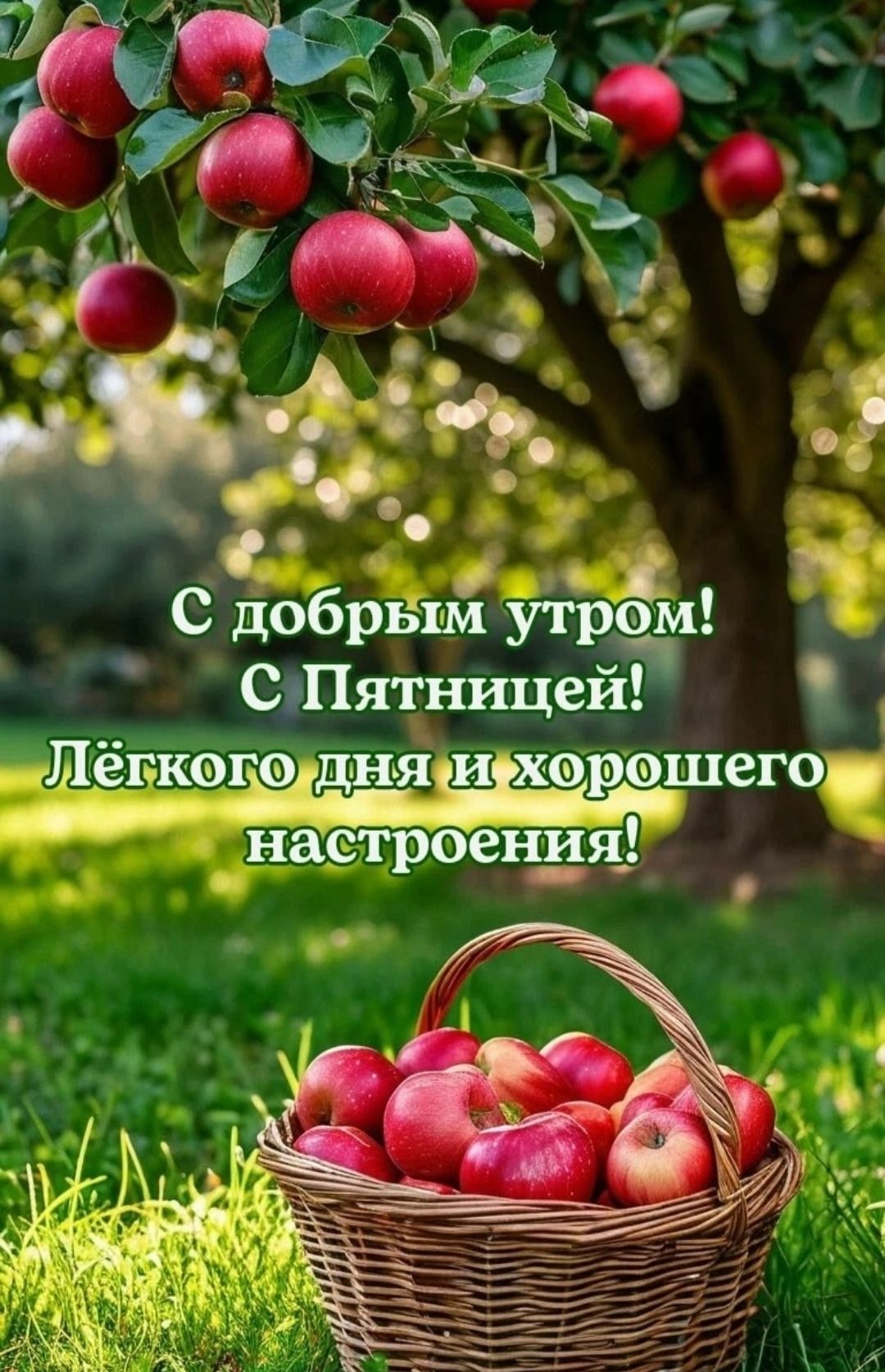 С добрым утром! С Пятницей! Лёгкого дня и хорошего настроения!