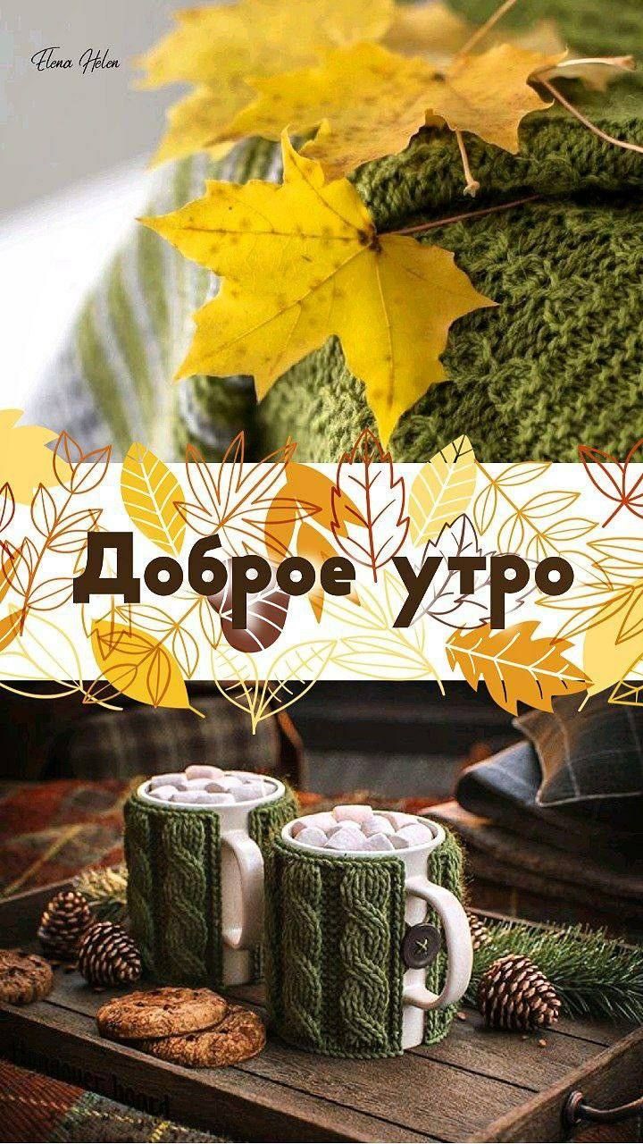 Доброе утро