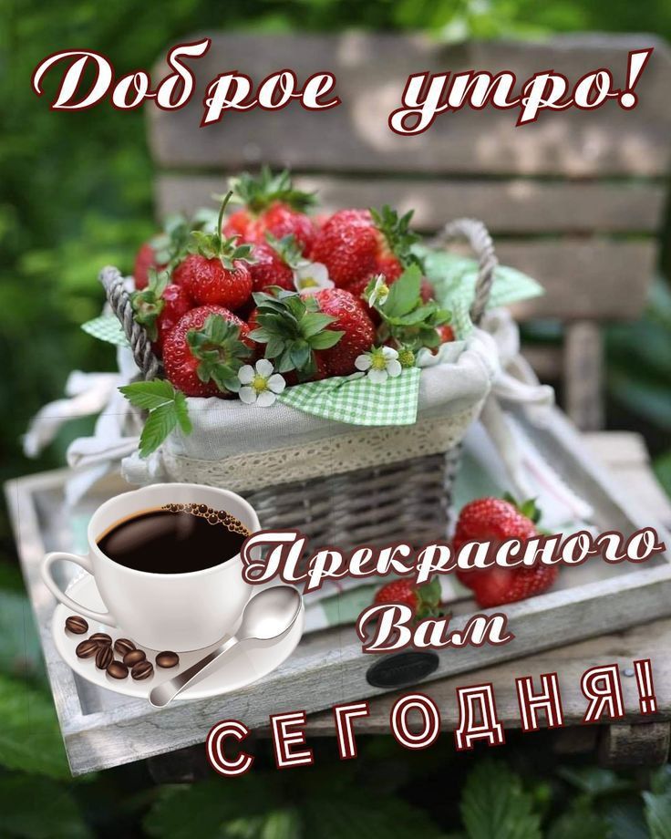 Доброе утро! Прекрасного Вам СЕГОДНЯ!