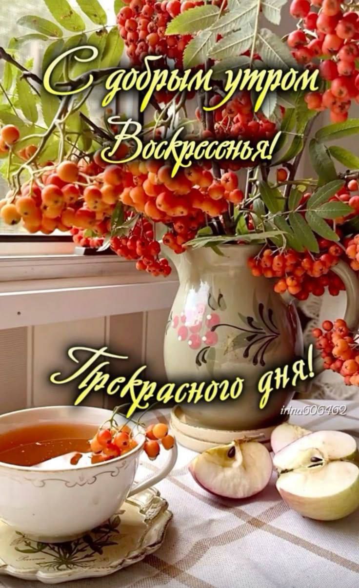 С добрым утром Воскресенья! Прекрасного дня!