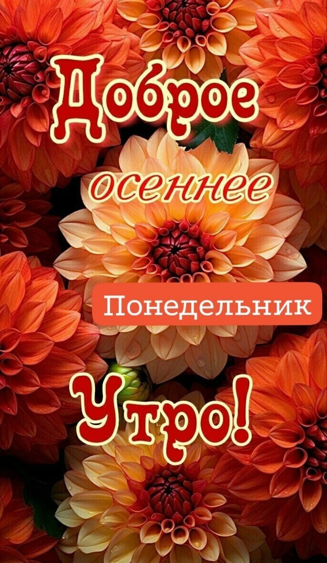 Доброе осеннее Понедельник Утро!