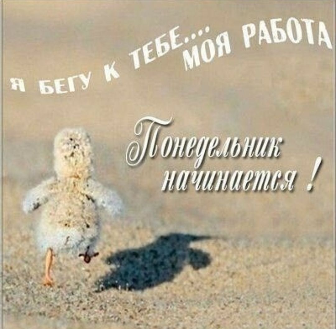 Я БЕГУ К ТЕБЕ.... МОЯ РАБОТА
Понедельник начинается!