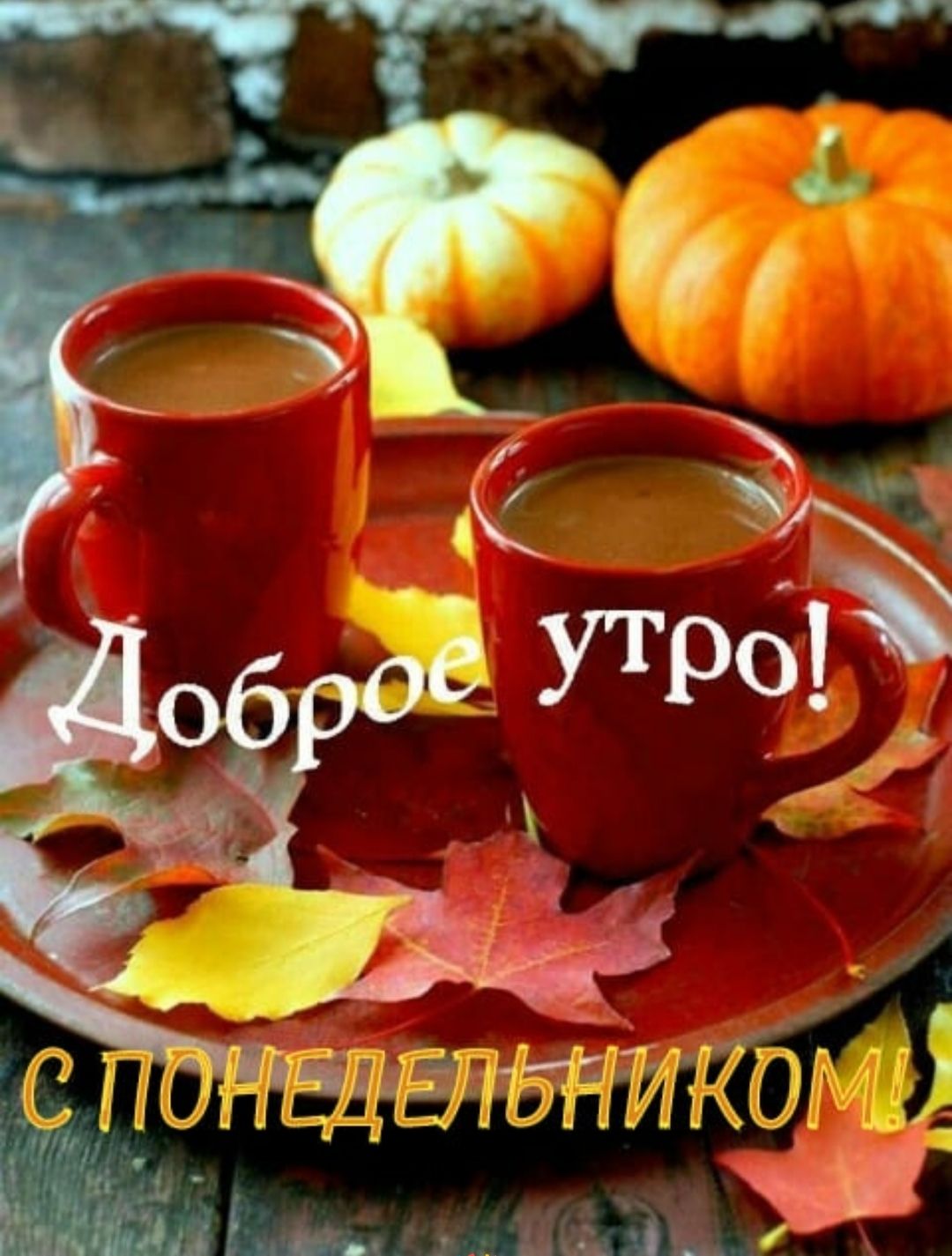 Доброе утро! С понедельником!