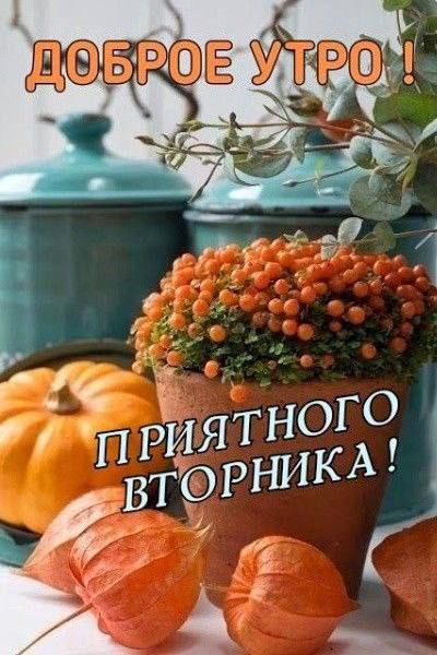 ДОБРОЕ УТРО ! ПРИЯТНОГО ВТОРНИКА !