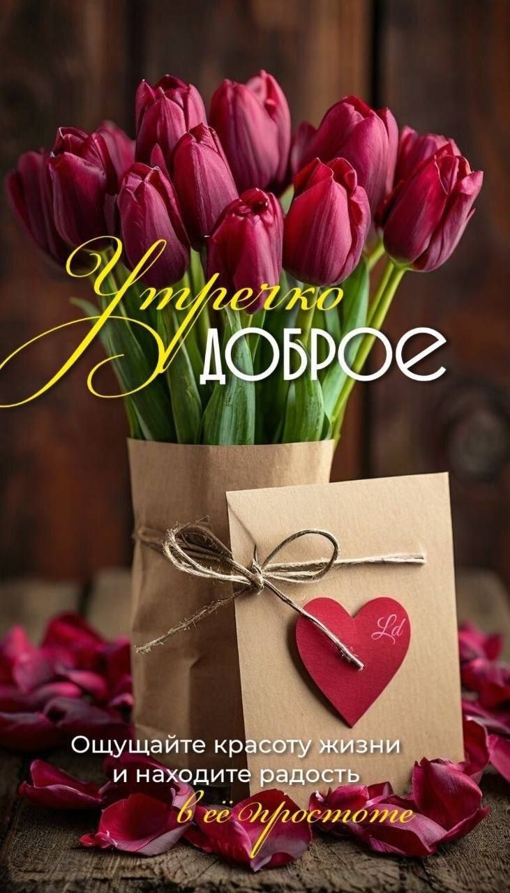 Утро доброе.
Ощущайте красоту жизни и находите радость в её простоте.