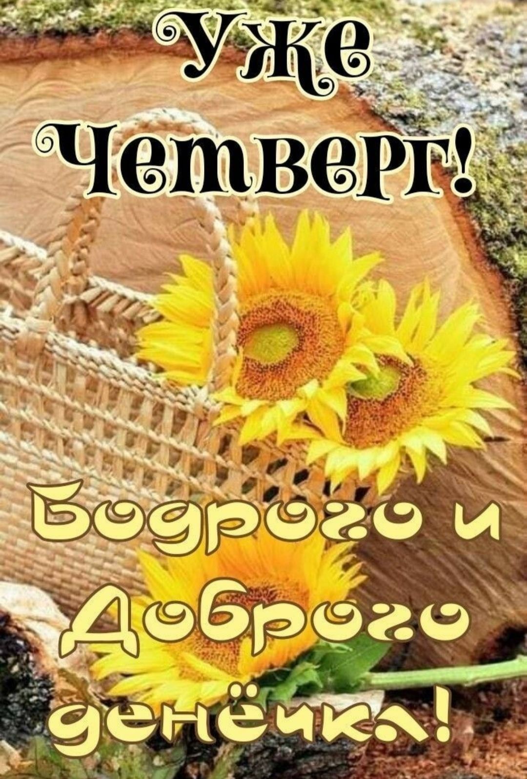 Уже Четверг! Бодрого и Доброого денёчка!