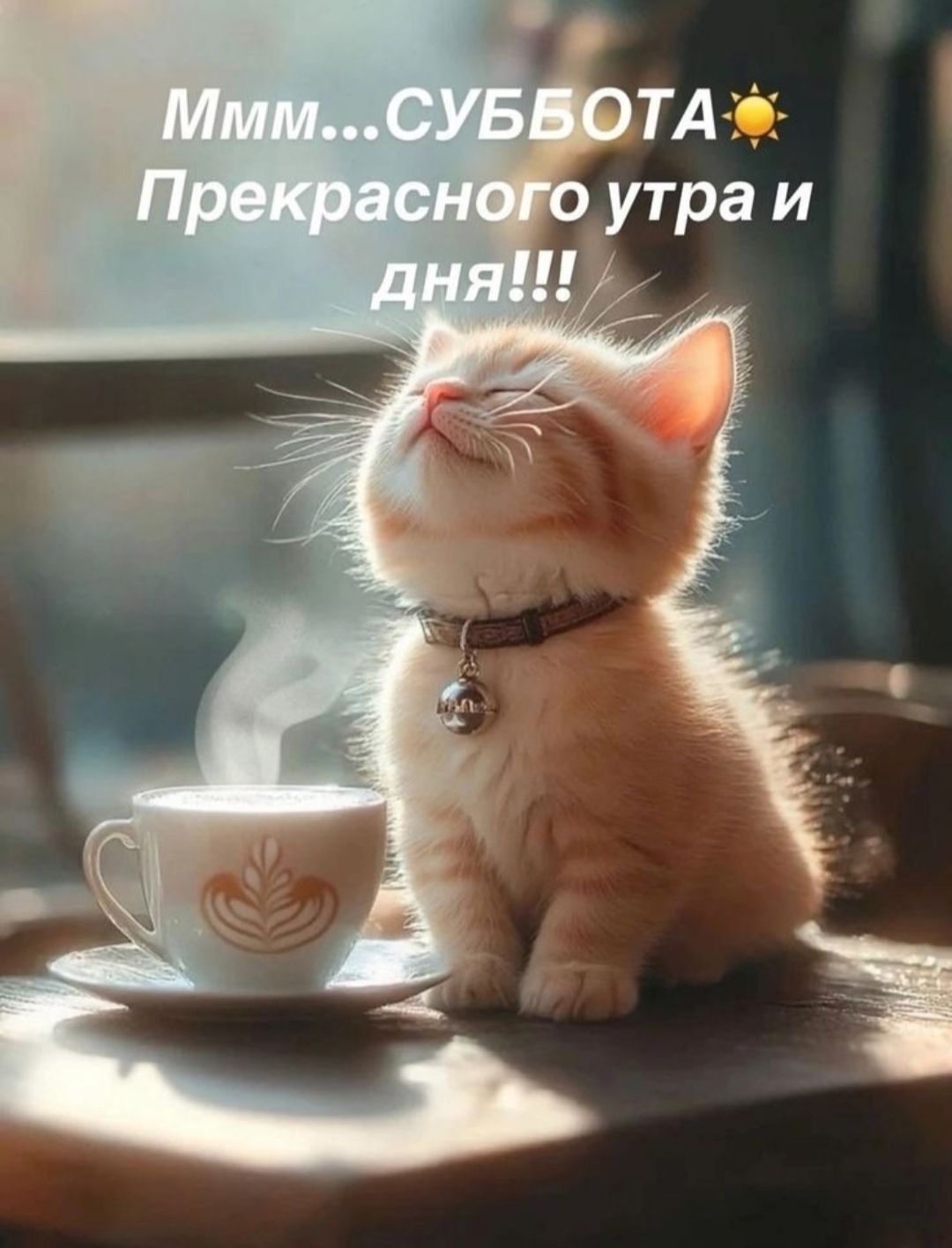 Ммм...СУББОТА☀️ Прекрасного утра и дня!!!