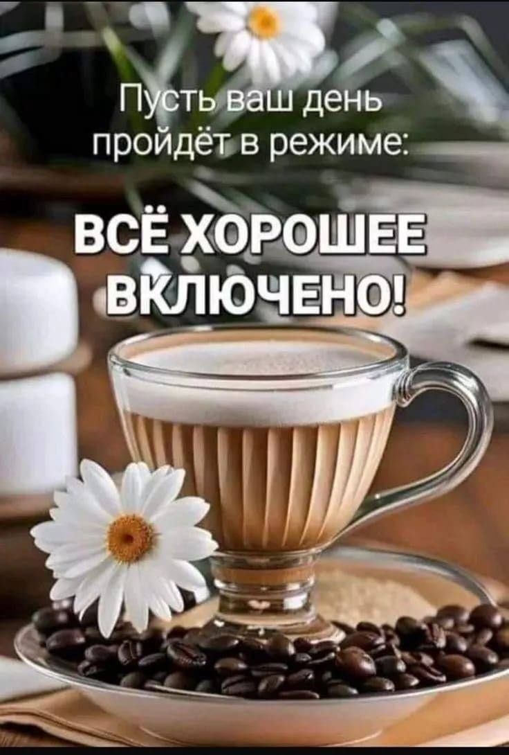 Пусть ваш день пройдёт в режиме: ВСЁ ХОРОШЕЕ ВКЛЮЧЕНО!