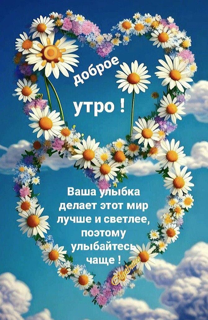 доброе утро !
Ваша улыбка делает этот мир лучше и светлее, поэтому улыбайтесь чаще !