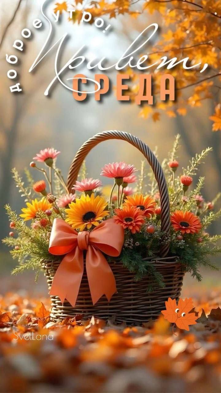 Доброе утро! Привет, Среда
