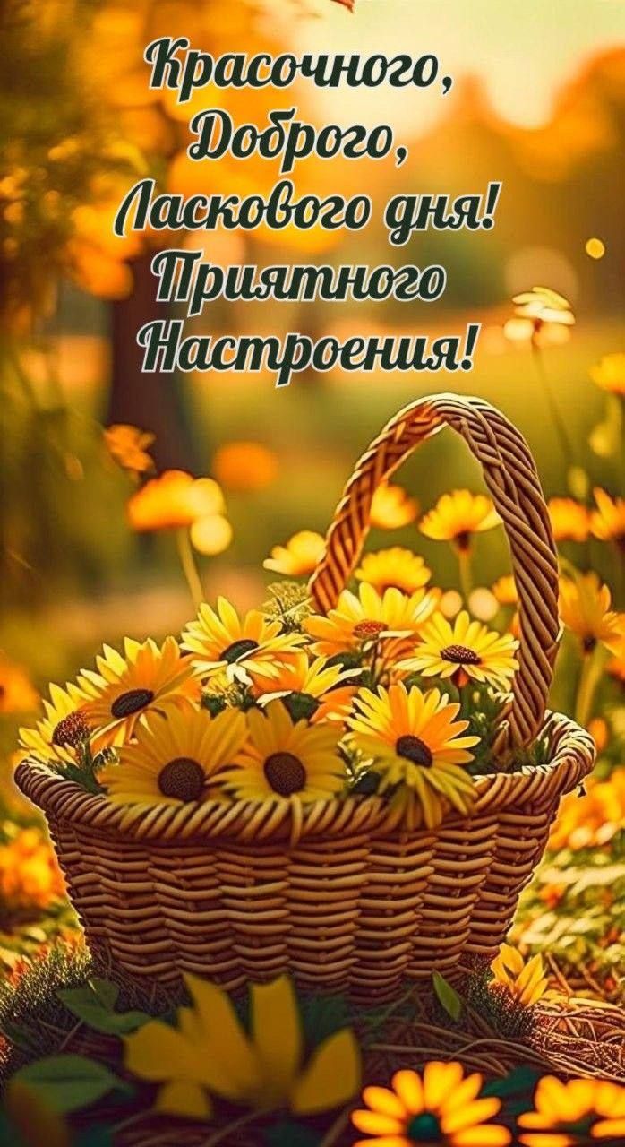 Красочного, Доброго, Ласкового дня! Приятного Настроения!