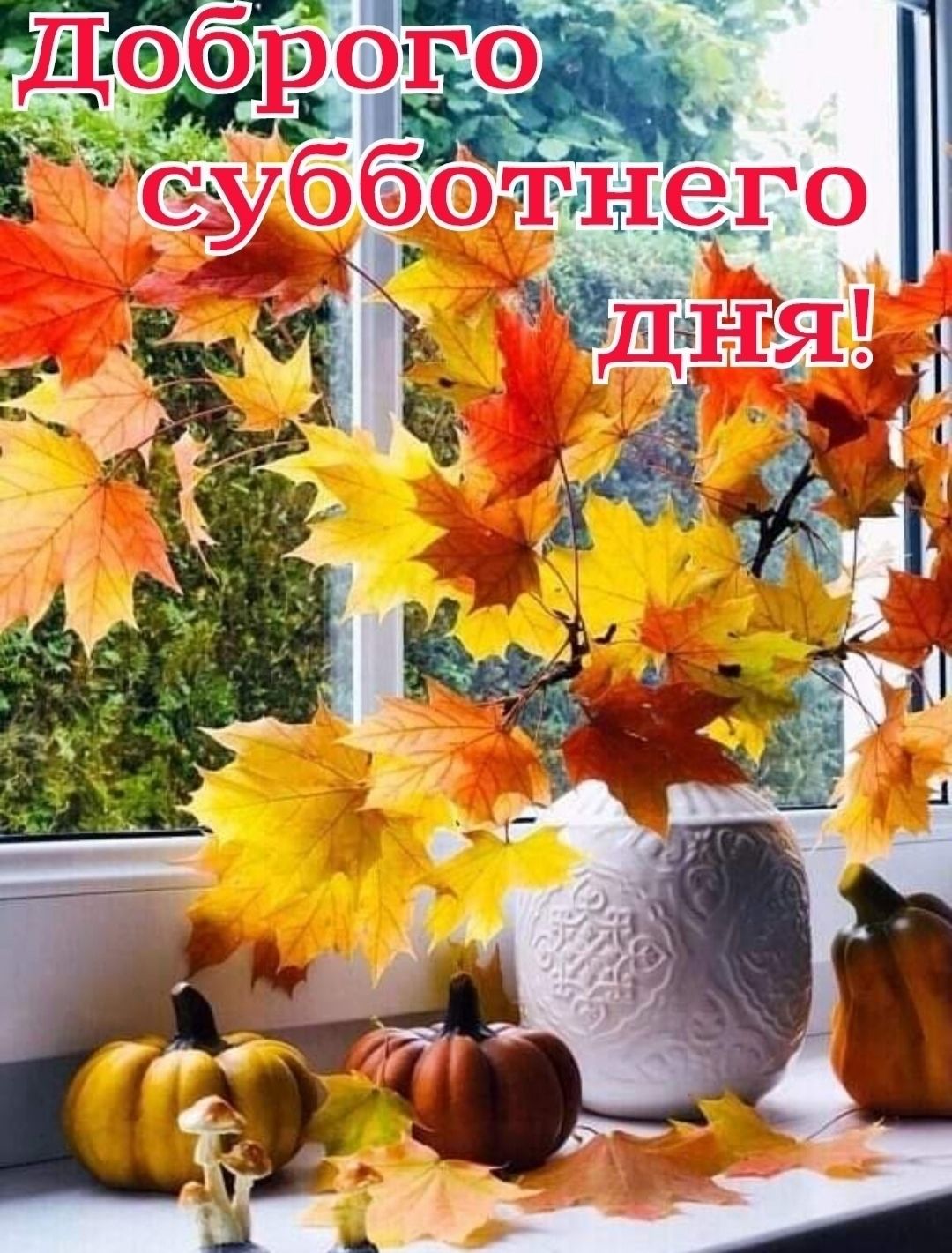 Доброего субботнего дня!