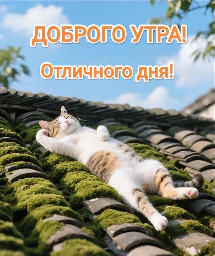 ДОБРОГО УТРА! Отличного дня!
