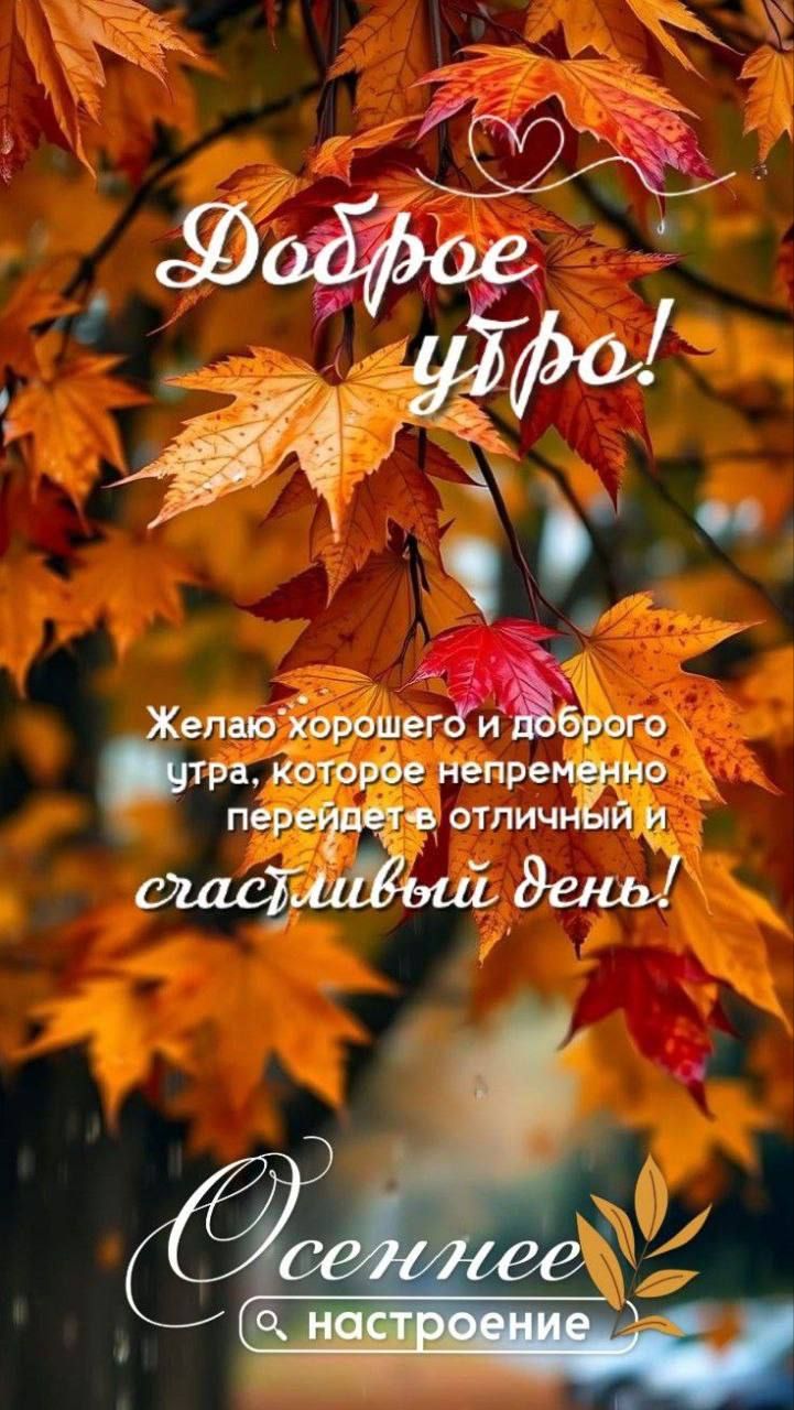 Доброе утро! Желаю хорошего и доброго утра, которое непременно перейдет в отличный и счастливый день!