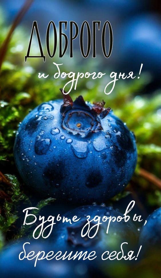 ДОБРОГО
и доброго дня!
Будьте здоровы, берегите себя!