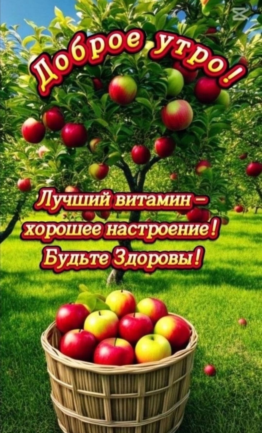 Доброе утро! Лучший витамин – хорошее настроение! Будьте Здоровы!