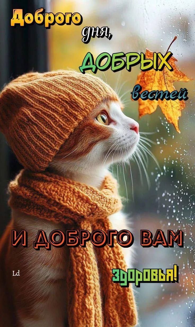 Доброго дня, ДОБРЫХ вестей И ДОБРОГО ВАМ здоровья!