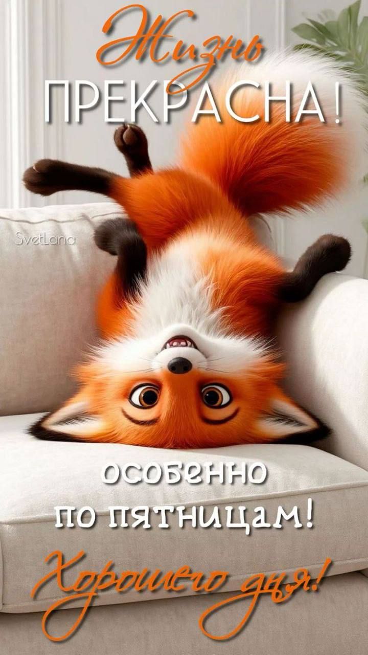 Жизнь ПРЕКРАСНА! ОСОБЕННО по пятницам! Хорошего дня!