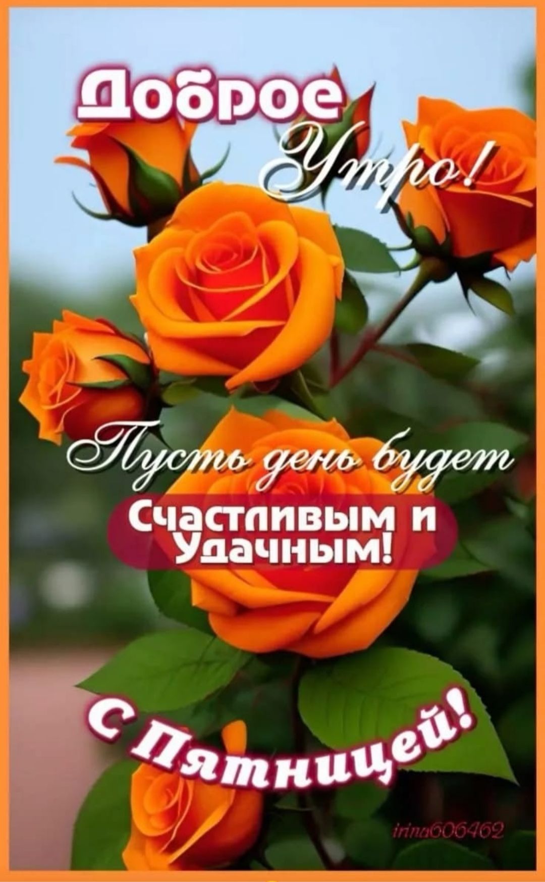 Доброе Утро! Пусть день будет Счастливым и Удачным! С Пятницей!