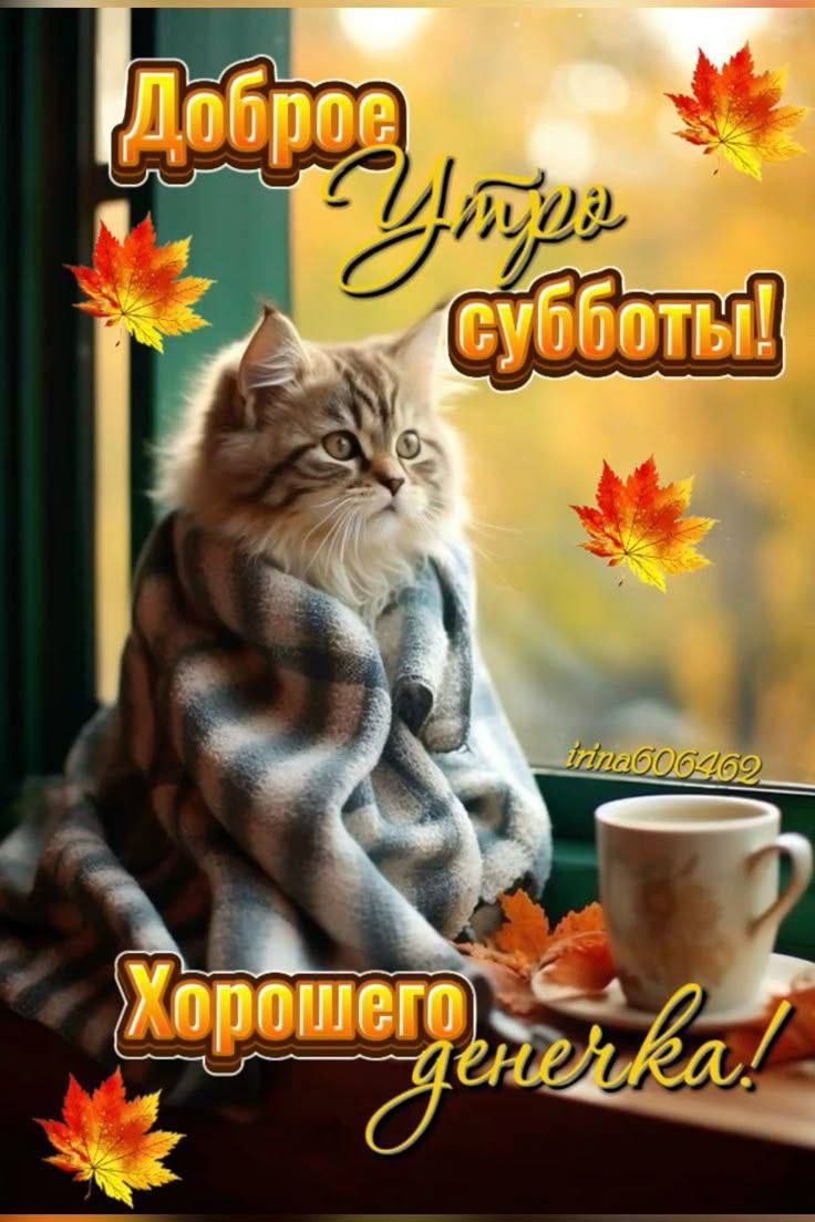 Доброе Утро субботы! Хорошего денечка!