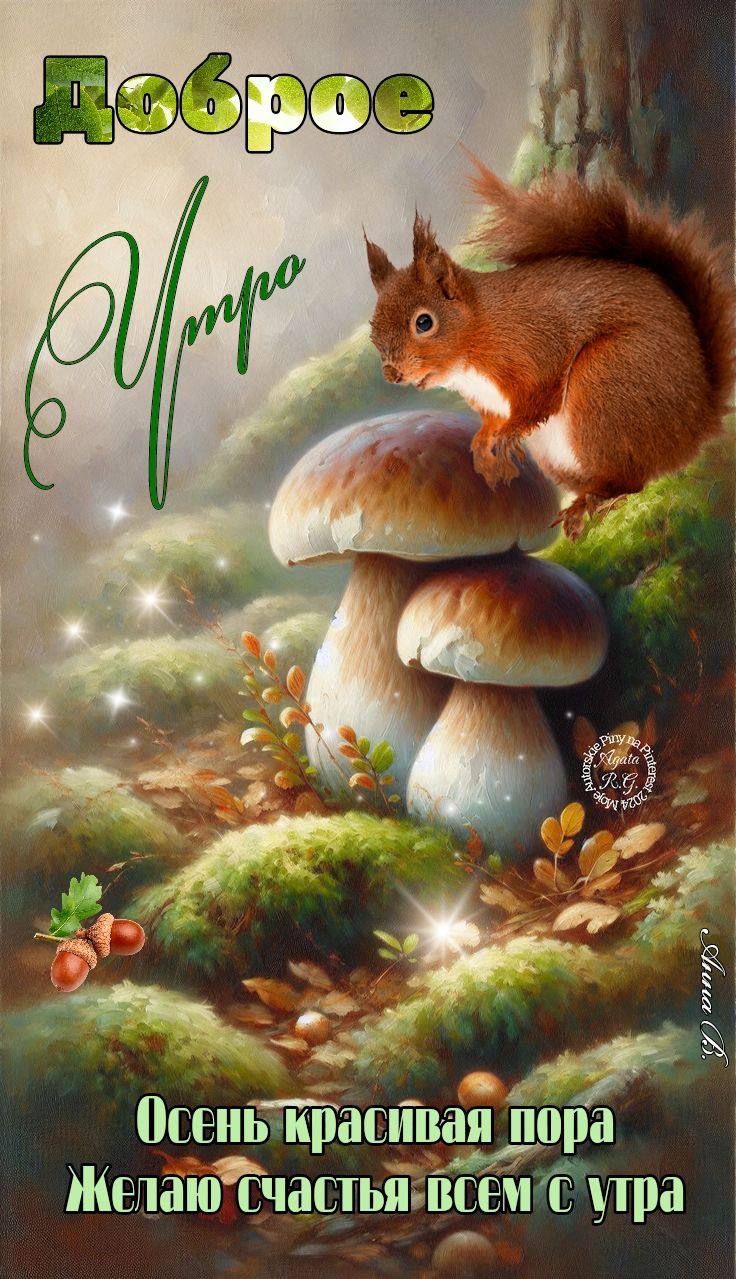 Доброе утро
Осень красивая пора
Желаю счастья всем с утра